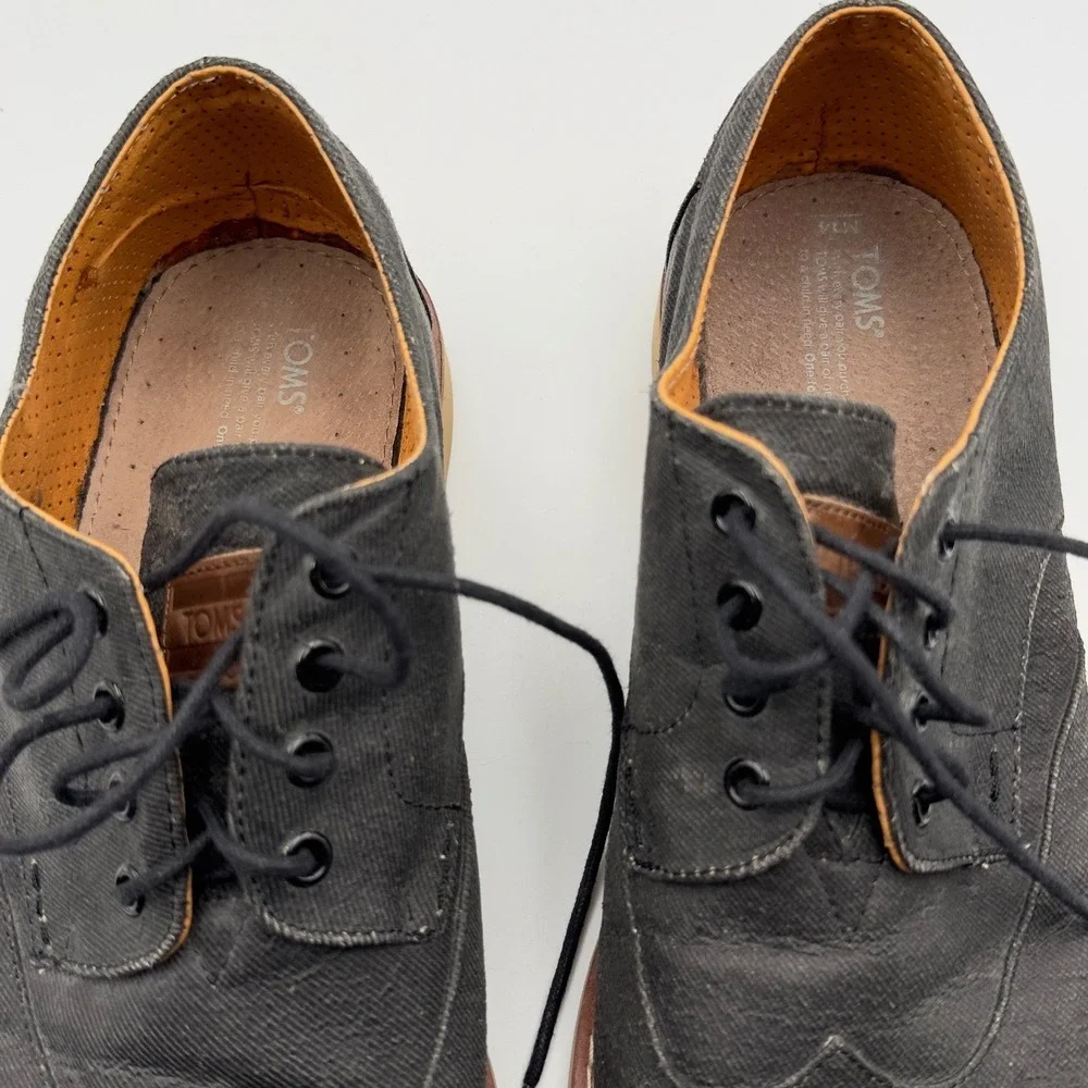 Toms broque ash